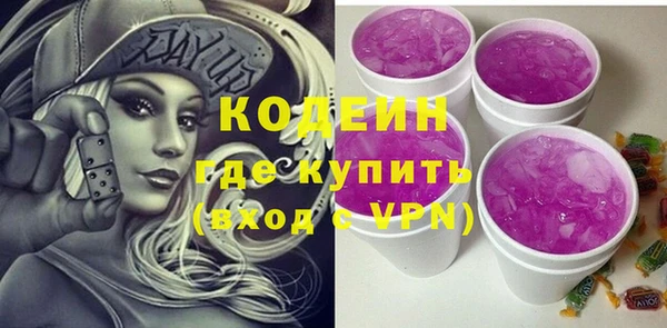 индика Абинск