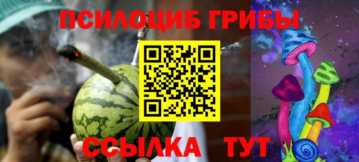 Галлюциногенные грибы MAGIC MUSHROOMS  Вход с VPN  Волоколамск 